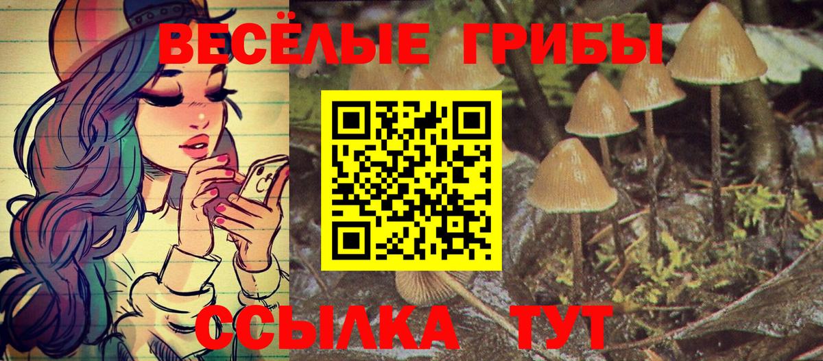 Кулебаки  Псилоцибиновые грибы мицелий  Вход с VPN 