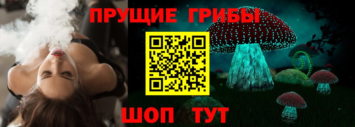 Галлюциногенные грибы Psilocybe Кулебаки